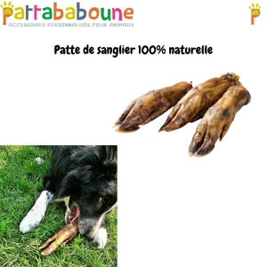Patte de sanglier 100% naturelle