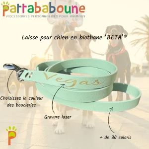 Laisse personnalisée en Biothane - 16 mm