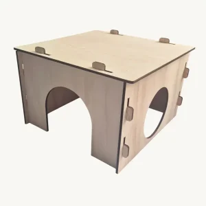 Cabane en bois