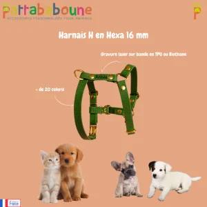 Harnais en H personnalisé pour chien en hexa 16 mm