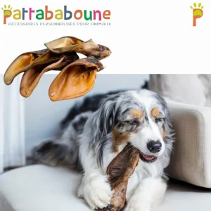 Oreille de bœuf pour chien 100 % naturelle