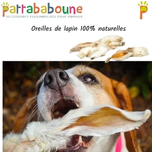 Oreilles de lapin pour chien et chat 100 % naturelles
