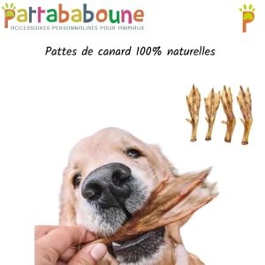 Patte de canard pour chien 100 % naturelles