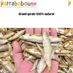 Grand sprats ~12 cm à 15 cm pour chien 100 % naturelle