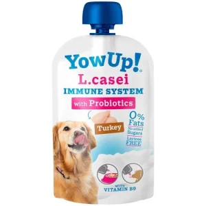 Yow Up Yahourt  L. Casei Chien